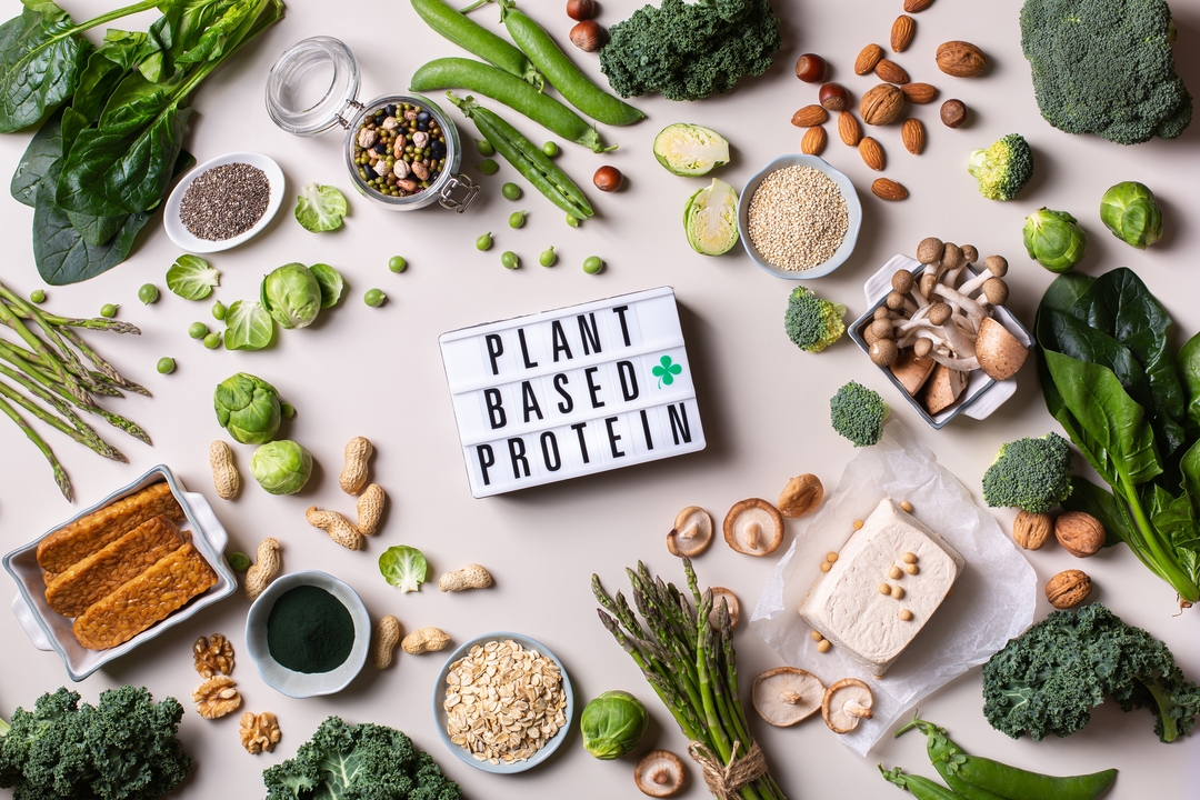 The Best Plant-Based Sources of Protein for a Balanced Diet